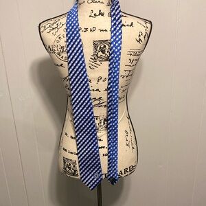 Elegant Blue Gingham Men's Tie